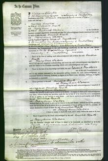 Court of Common Pleas - Amelia Beath and Mary Ann Watson-Original Ancestry