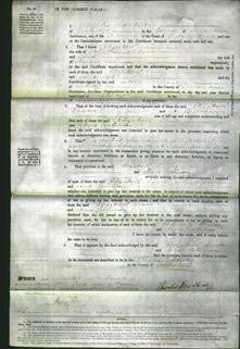 Court of Common Pleas - Elizabeth Chater and Anne Robinson-Original Ancestry