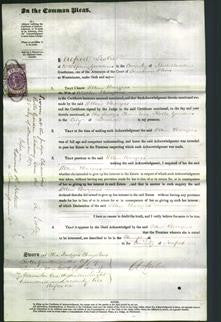 Court of Common Pleas - Ellen Catchpole Burgess-Original Ancestry