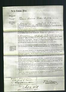 Court of Common Pleas - Louisa Camilla Kitch-Original Ancestry