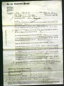 Court of Common Pleas - Ann Doggett-Original Ancestry