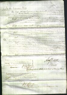 Court of Common Pleas - Mary James and Hannah Morgan-Original Ancestry