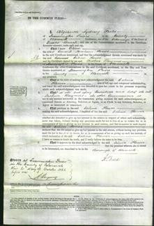 Court of Common Pleas - Celina Flower-Original Ancestry