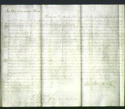 Court of Common Pleas - Sarah Cook and Ann Palmer-Original Ancestry