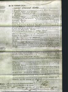 Court of Common Pleas - Elizabeth Heates-Original Ancestry