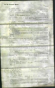 Court of Common Pleas - Sarah Bench-Original Ancestry