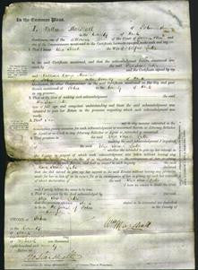 Court of Common Pleas - Eliza Sarah Lester-Original Ancestry