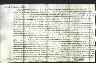 Court of Common Pleas - Mary Fielding, Alice Fielding and Theodosia Fielding-Original Ancestry