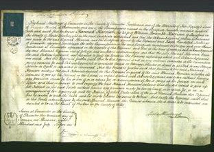 Court of Common Pleas - Hannah Harrison-Original Ancestry