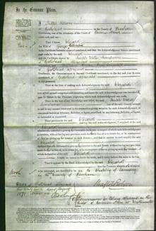 Court of Common Pleas - Elizabeth Gilhespie-Original Ancestry