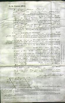 Court of Common Pleas - Rebecca Budd, Sophia Goulding, Rosetta Hearman-Original Ancestry