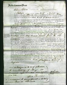 Court of Common Pleas - Jane Evans-Original Ancestry