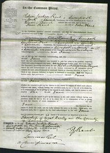 Court of Common Pleas - Jane Kent-Original Ancestry