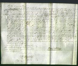 Court of Common Pleas - Maria Gould-Original Ancestry