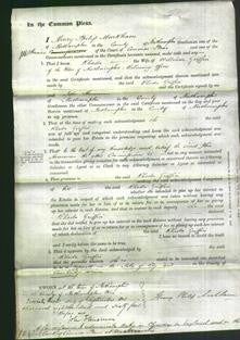 Court of Common Pleas - Rhoda Griffin-Original Ancestry