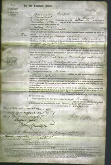 Court of Common Pleas - Teresa Dodd-Original Ancestry