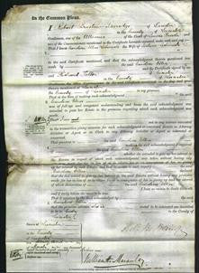 Court of Common Pleas - Caroline Ellen Lickorish-Original Ancestry