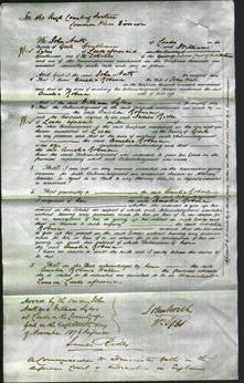 Court of Common Pleas - Amelia Robina Hall-Original Ancestry