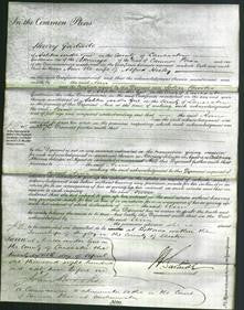 Court of Common Pleas - Ann Heeley-Original Ancestry