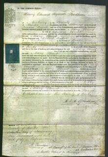 Court of Common Pleas - Mary Hunt-Original Ancestry