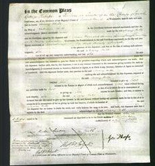 Court of Common Pleas - Mary Hill-Original Ancestry