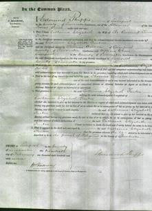 Court of Common Pleas - Catherine Elizabeth Fenton-Original Ancestry