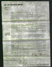 Court of Common Pleas - Mary Evans-Original Ancestry