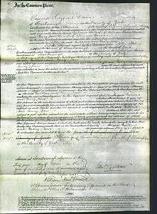 Court of Common Pleas - Mildred Fowler and Mary Jane Harrison-Original Ancestry