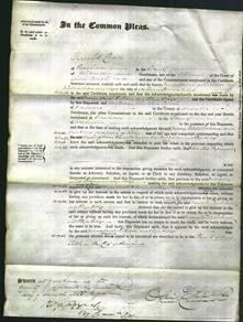 Court of Common Pleas - Maria Winterbotham and Eliza Edge-Original Ancestry