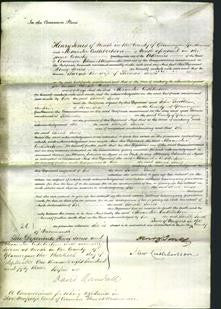 Court of Common Pleas - Sarah Jones-Original Ancestry