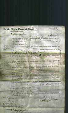 Court of Common Pleas - Sarah Donnelly-Original Ancestry