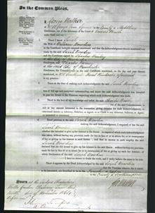 Court of Common Pleas - Sarah Bowden-Original Ancestry