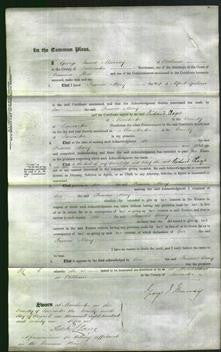 Court of Common Pleas - Frances Mary Godson-Original Ancestry