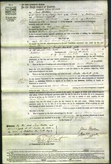 Court of Common Pleas - Annie Theresa Randall-Original Ancestry