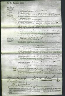 Court of Common Pleas - Ann Chalcraft-Original Ancestry