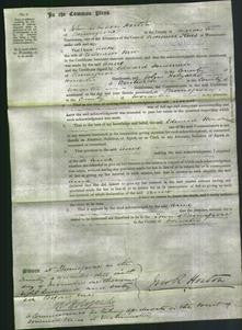 Court of Common Pleas - Anne New-Original Ancestry