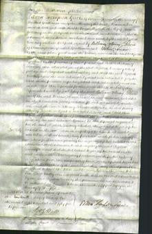 Court of Common Pleas - Elizabeth Courtney-Original Ancestry