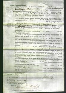 Court of Common Pleas - Marian Howkins-Original Ancestry