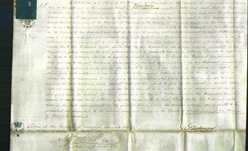 Court of Common Pleas - Catherine Mills-Original Ancestry