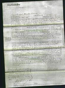 Court of Common Pleas - Ann Munckton, Emily Dobin and Mary Brown Munckton-Original Ancestry