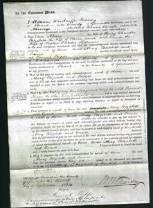 Court of Common Pleas - Mary Chandler, Elizabeth Jenner and Emma Matravers-Original Ancestry