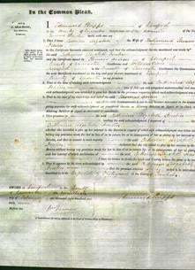 Court of Common Pleas - Catherine Elizabeth Fenton-Original Ancestry