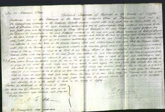 Court of Common Pleas - Judith Green-Original Ancestry