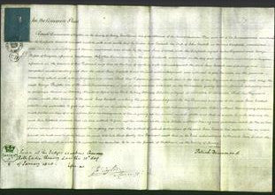 Court of Common Pleas - Jane Goodall-Original Ancestry