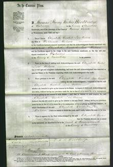 Court of Common Pleas - Elizabeth Rachel Low Wilson-Original Ancestry