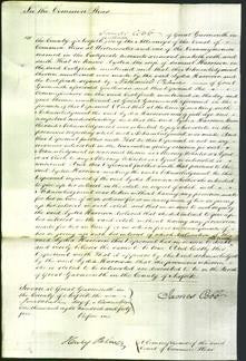 Court of Common Pleas - Lydia Harrison-Original Ancestry