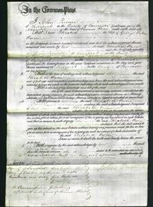 Court of Common Pleas - Elizabeth Owen-Original Ancestry