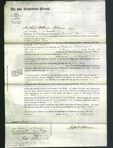 Court of Common Pleas - Jane Mercer-Original Ancestry
