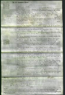 Court of Common Pleas - Jane Holt, Mary Ann Royds, Ann Greenwood, Mary Binns and Ann Clegg-Original Ancestry