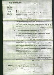 Court of Common Pleas - Esther Johnson-Original Ancestry